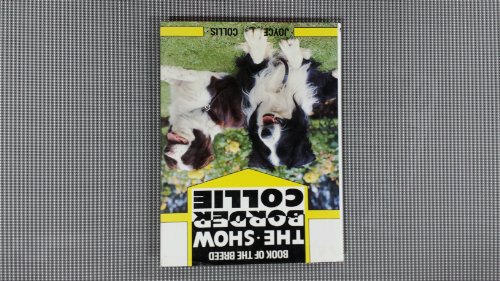 The Show Border Collie