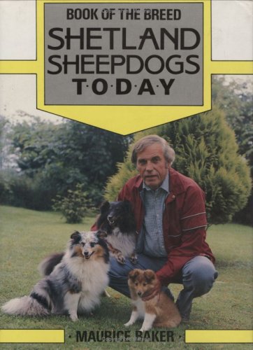 Shetland Sheepdogs Today