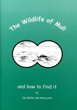 The Wildlife of Mull