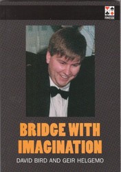 Bridge with Imagination