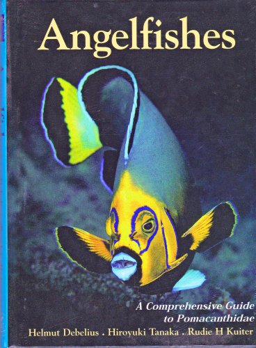 Angelfishes