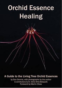 Orchid Essence Healing