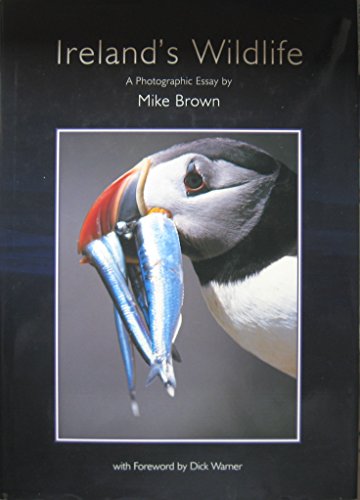 Ireland's Wildlife