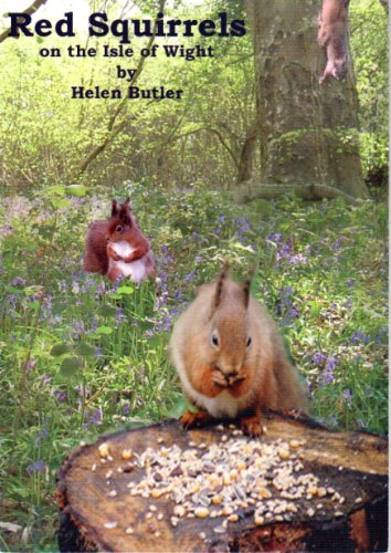 Red Squirrels