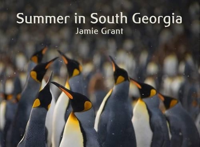 Summer in South Georgia