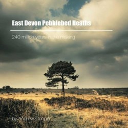 East Devon Pebblebed Heaths: 240 Million Years in the Making