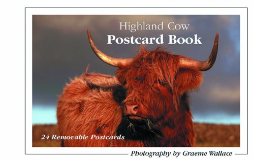 Highland Cow Postcard Book