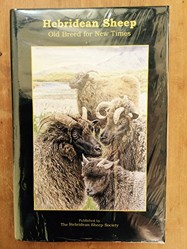 Hebridean Sheep