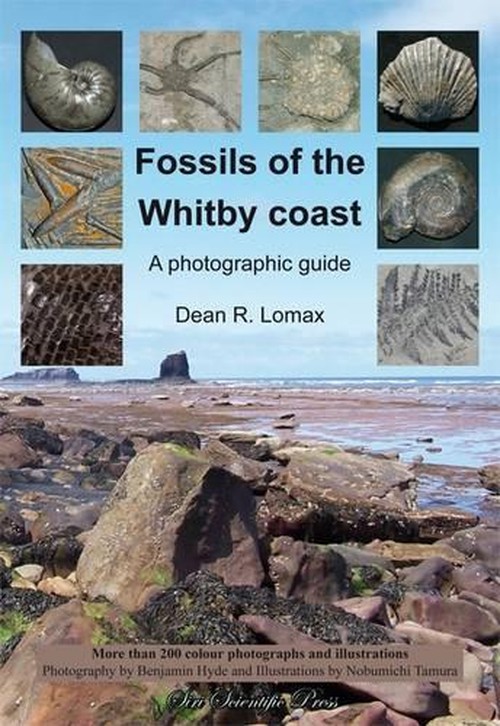Fossils of the Whitby Coast