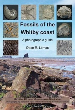 Fossils of the Whitby Coast
