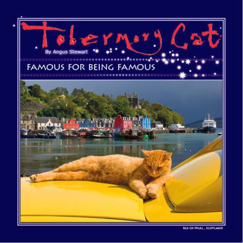 Tobermory Cat