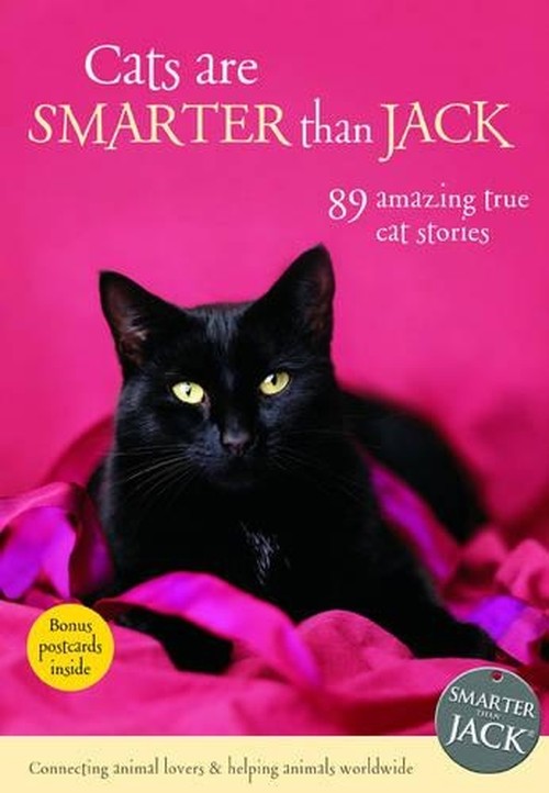 Cats are Smarter Than Jack 1