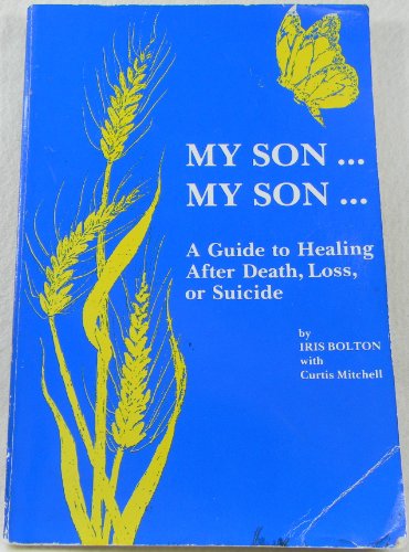 My Son...My Son : A Guide to Healing after a Suicide in the Family