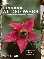 Field Guide to Alaskan Wildflowers