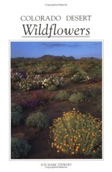 Colorado Desert Wildflowers