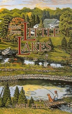 Notes from Little Lakes