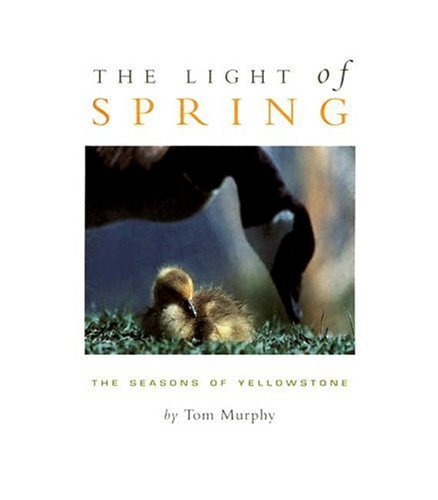 The Light of Spring