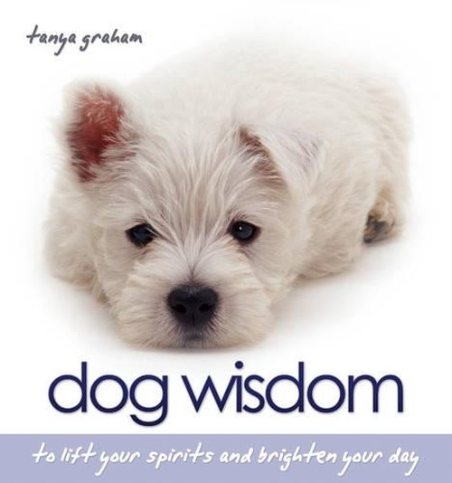 Dog Wisdom