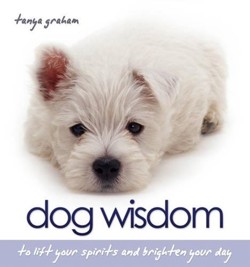 Dog Wisdom