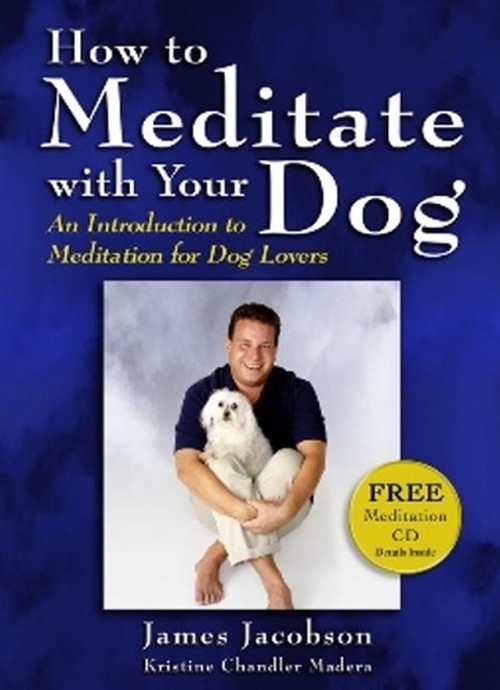 How to Meditate with Your Dog