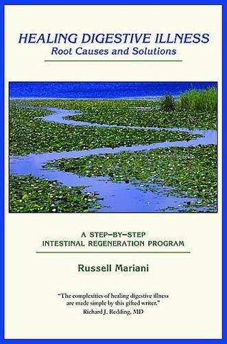Healing Digestive Illness: Root Causes and Solutions