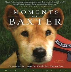 Moments with Baxter