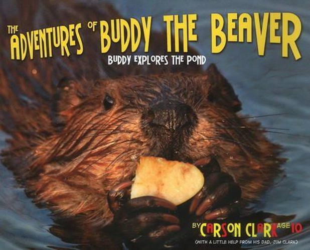 The Adventures of Buddy the Beaver: Buddy Explores the Pond