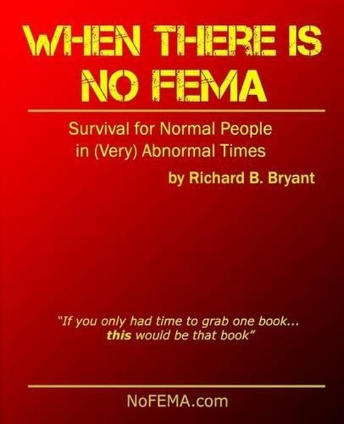 When There is No FEMA