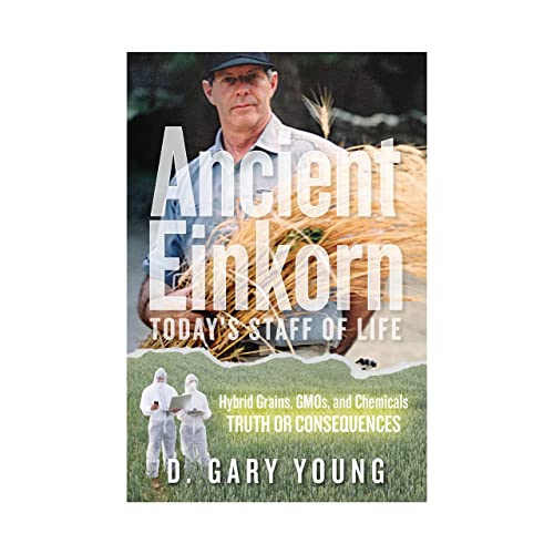 Ancient Einkorn : Today's Staff of Life