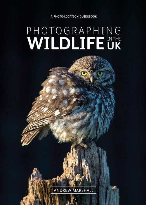 Photographing Wildlife in the UK - photo-location guidebook