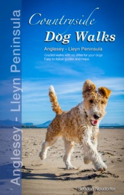Countryside Dog Walks: Anglesey - Lleyn Peninsula