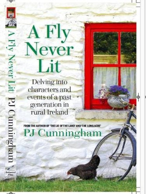A Fly Never Lit