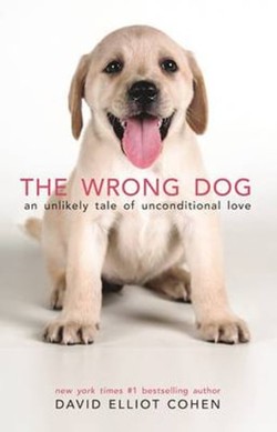 The Wrong Dog