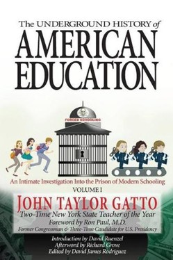 The Underground History of American Education, Volume I
