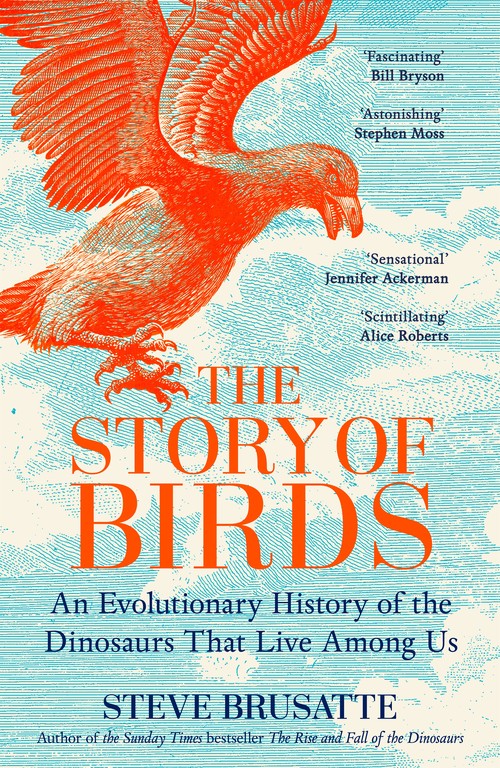 The Story of Birds
