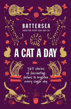 Battersea Dogs and Cats Home - A Cat a Day