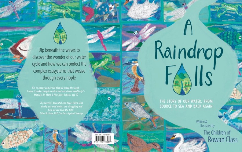 A Raindrop Falls