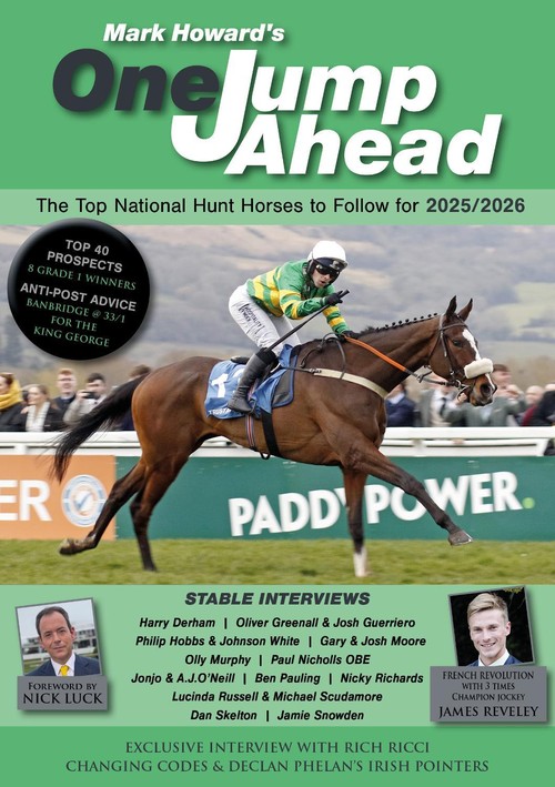 The Top National Hunt Horses To Follow 2025/2026