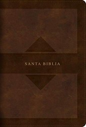 RVR 1960 Hand Size Giant Print Bible with Holy Land Images