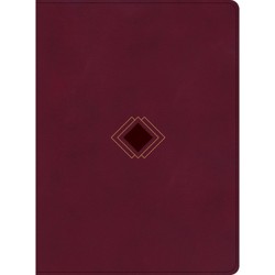 CSB Day-by-Day Chronological Bible, Burgundy LeatherTouch