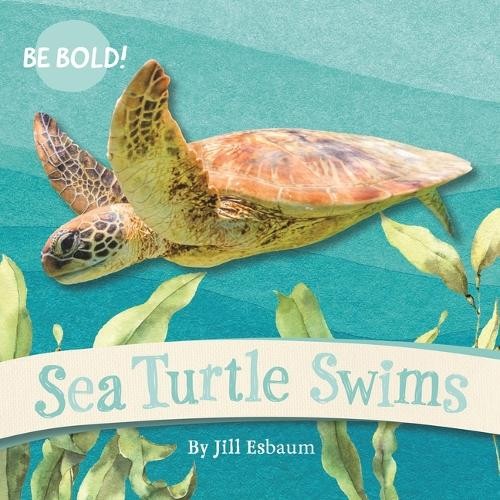 Sea Turtle Swims