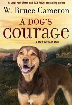 A Dog's Courage