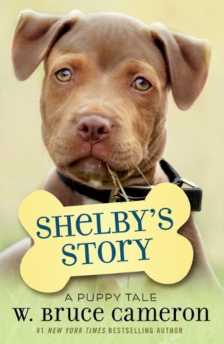 Shelby's Story