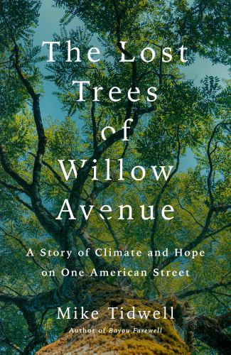 The Lost Trees of Willow Avenue