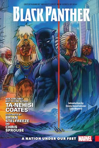 Black Panther Vol. 1: A Nation Under Our Feet