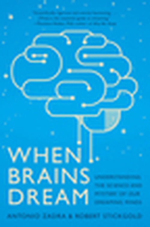 When Brains Dream