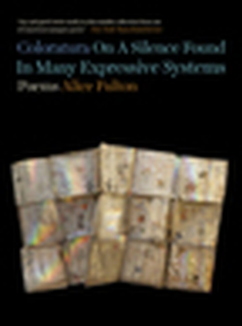 Coloratura On A Silence Found In Many Expressive Systems