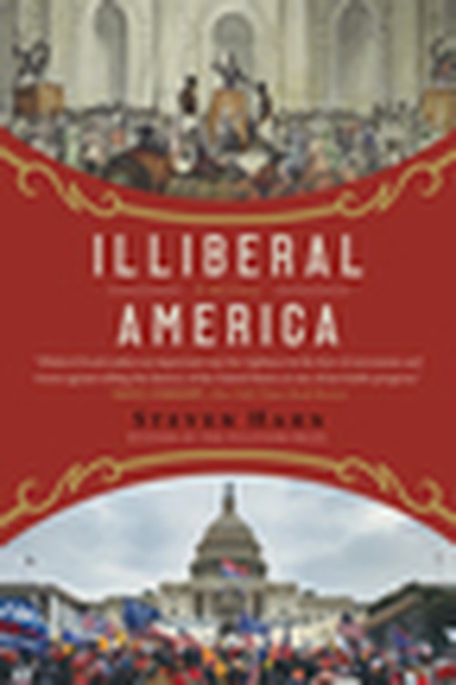 Illiberal America