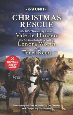 Christmas Rescue