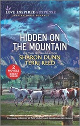 Hidden on the Mountain